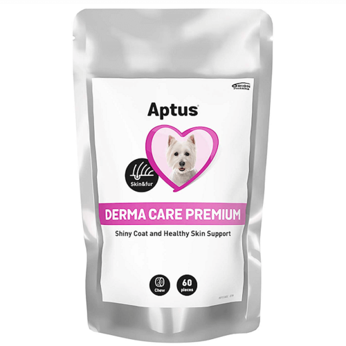 Aptus Derma Care Premium purutabletti 60 kpl